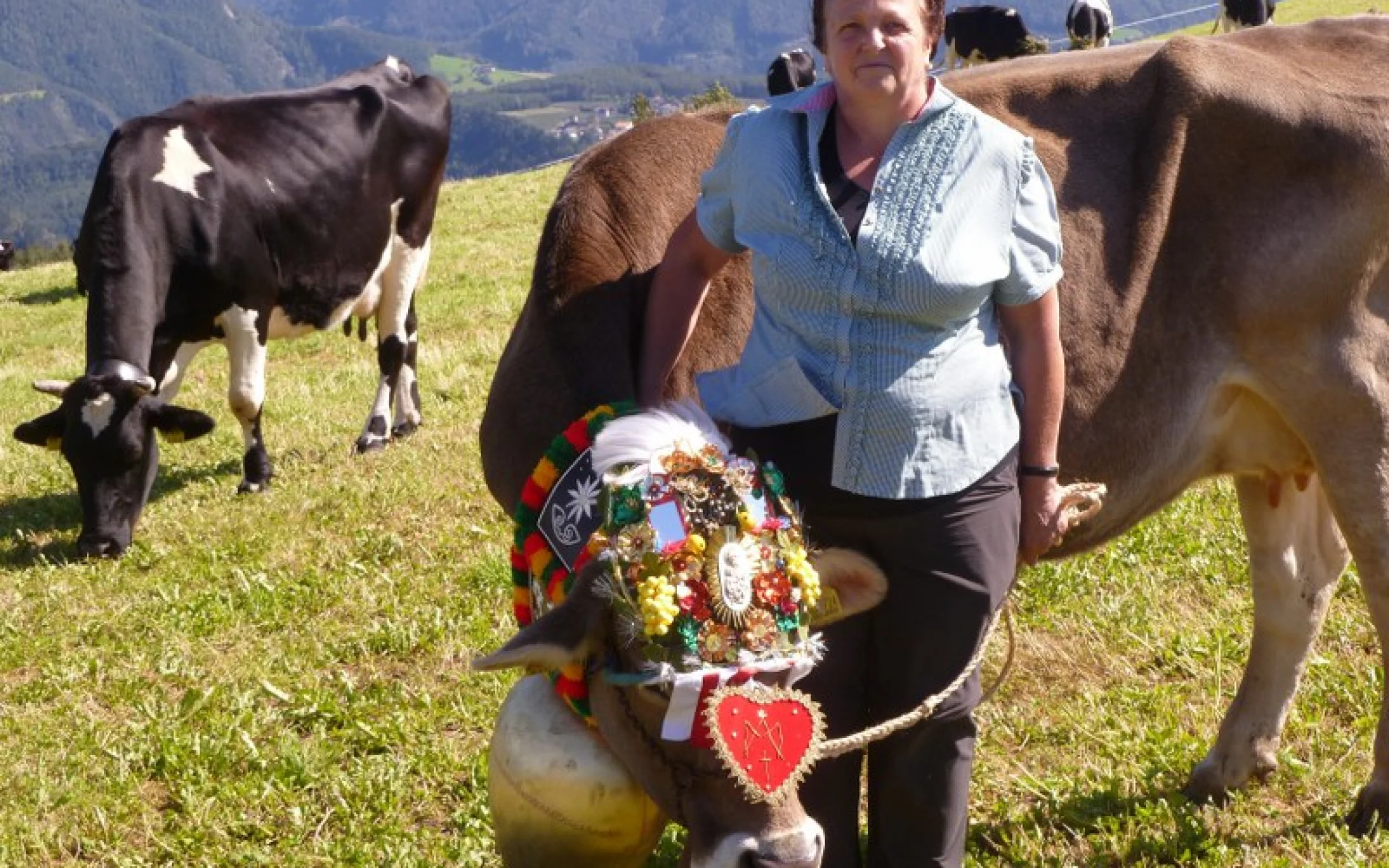 Erna Zingerle Erschbaumer_27 09 12_16 23_1348755824_800x598.jpg